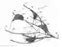 Fig. 01 - Fallopian Tube Occlusion Device