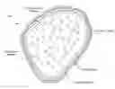 Fig. 01 - SYSTEMS, METHODS AND COMPOSITIONS RELATING TO COMBUSTIBLE BIOMATERIALS