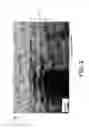 Fig. 04 - Laminated structure by internal oxidation and forming method thereof