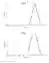 Fig. 05 - Ion selection apparatus and method