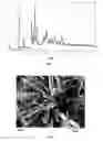 Fig. 02 - Novel Metal-Organic Frameworks as Electrode Material for Lithium Ion Accumulators