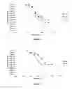 Fig. 02 - Thermoplastic and/or elastomeric composite based on carbon nanotubes and graphenes
