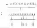 Fig. 07 - N-Phenyl carbazole-based host material for light-emitting diodes