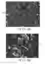 Fig. 06 - Method for drying cellulose nanofibrils