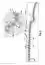 Fig. 08 - Mold apparatus for forming polymer and method