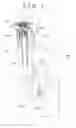 Fig. 02 - STRUT SUSPENSION