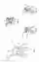 Fig. 04 - Tilting paint spray pump and cart