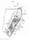 Fig. 06 - Knee airbag device for a vehicle