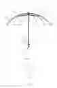 Fig. 02 - Structures of luminous umbrella