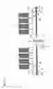 Fig. 13 - Connector attaching/detaching apparatus and test head