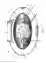 Fig. 03 - Solar powered light and alarm system