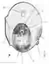Fig. 04 - Solar powered light and alarm system