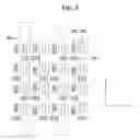 Fig. 06 - Subpixel arrangement structure for a display device and display device