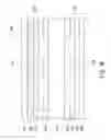 Fig. 08 - Blue phase liquid crystal display and method for fabricating the same