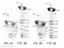 Fig. 04 - Screw lock accessory retaining device