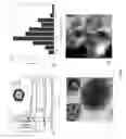 Fig. 02 - Fluorescent particles comprising nanoscale ZnO layer and exhibiting cell-specific toxicity