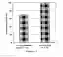 Fig. 02 - THERAPEUTIC AND PROPHYLACTIC AGENTS FOR ARTHRITIS