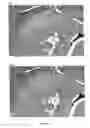Fig. 09 - THERAPEUTIC AND PROPHYLACTIC AGENTS FOR ARTHRITIS