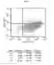 Fig. 02 - Mesenchymal stem cells and bone-forming cells