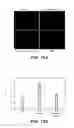 Fig. 15 - Anti-hepsin antibodies and methods using same