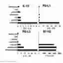Fig. 07 - Artificial antigen presenting cells and uses therefor