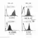 Fig. 13 - Artificial antigen presenting cells and uses therefor