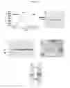 Fig. 02 - METHODS FOR ISOLATING ENVELOPED VIRUS-BASED VLPS FREE OF INFECTIOUS AGENTS