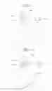 Fig. 02 - TONER, DEVELOPER, AND IMAGE FORMING METHOD