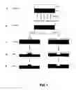 Fig. 02 - NOVEL DUAL-TONE RESIST FORMULATIONS AND METHODS