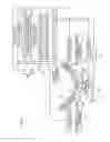 Fig. 02 - Microinjection apparatus and microinjection method
