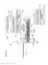 Fig. 09 - Microinjection apparatus and microinjection method