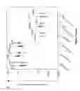 Fig. 22 - CIS-ACTING DIVERSIFICATION ACTIVATOR AND METHOD FOR SELECTIVE DIVERSIFICATION OF NUCLEIC ACIDS