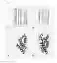 Fig. 02 - Construction and crystallization of expression system for RNA polymerase PB1-PB2 protein derived from influenza virus