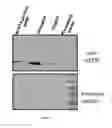 Fig. 07 - Microbacterial peptide deformylase