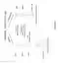 Fig. 09 - Meganuclease recombination system