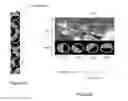 Fig. 03 - System and method for testing the reception and play of media on mobile devices
