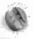 Fig. 07 - Basketball shooting target