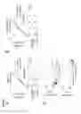 Fig. 07 - COMPOSITIONS, KITS, AND METHODS FOR IDENTIFICATION, ASSESSMENT, PREVENTION, AND THERAPY OF HEPATIC DISORDERS