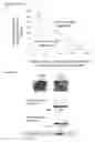 Fig. 199 - COMPOSITIONS, KITS, AND METHODS FOR IDENTIFICATION, ASSESSMENT, PREVENTION, AND THERAPY OF HEPATIC DISORDERS