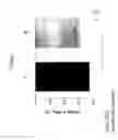 Fig. 06 - EXENDINS TO LOWER CHOLESTEROL AND TRIGLYCERIDES
