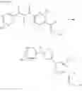 Fig. 22 - Imine compounds for combating invertebrate pests