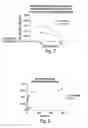 Fig. 08 - Compositions and methods of treating retinal disease