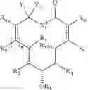 Fig. 11 - Migrastatin analog compositions and uses thereof