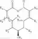 Fig. 128 - Migrastatin analog compositions and uses thereof