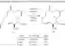 Fig. 192 - Migrastatin analog compositions and uses thereof