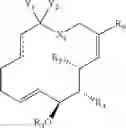 Fig. 216 - Migrastatin analog compositions and uses thereof