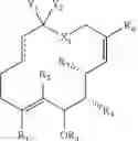 Fig. 25 - Migrastatin analog compositions and uses thereof