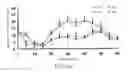 Fig. 02 - Small interfering RNA for gene knockdown of the subcutaneous N-methyl-D-aspartate receptor NR1 subunit, and it's application on pharmaceutics