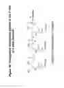 Fig. 49 - RNA interference mediated inhibition of gene expression using chemically modified short interfering nucleic acid (siNA)