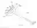Fig. 06 - Physical rehabilitation and training aid: method of using musculoskeletal repositioning device
